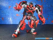 AOE Stinger Deluxe (2)